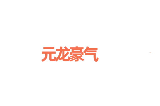元龙豪气