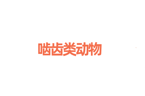 啮齿类动物
