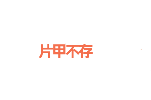 片甲不存