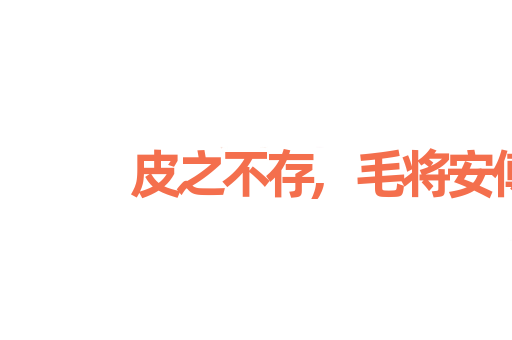皮之不存,毛将安傅