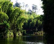 长宁天气预报30天